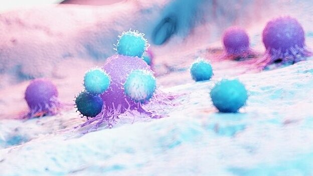 Picture of microorganisms