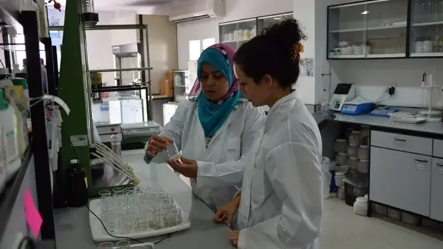 Doktor Salma Balazadeh at work
