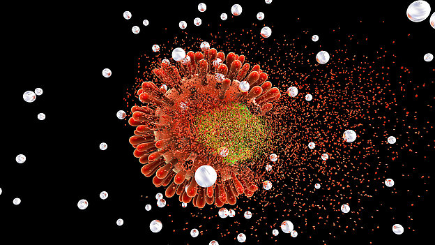 Graphic Corona Virus