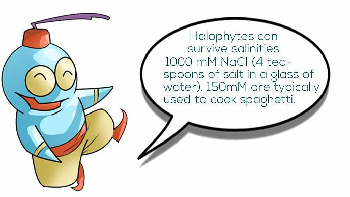 AGYA Science Djinn explains the salt tolerance of halophytes