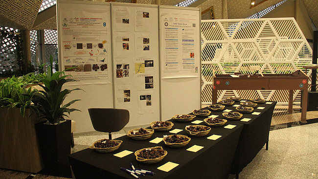 Annual Conference in Sharjah, UAE