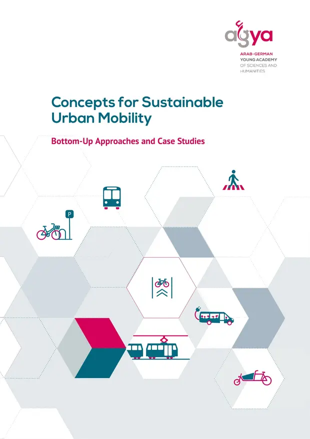 Concepts For Sustainable Urban Mobility: Bottom-up Approaches And Case ...