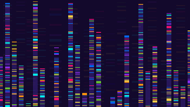 Key Visual Metatranscription