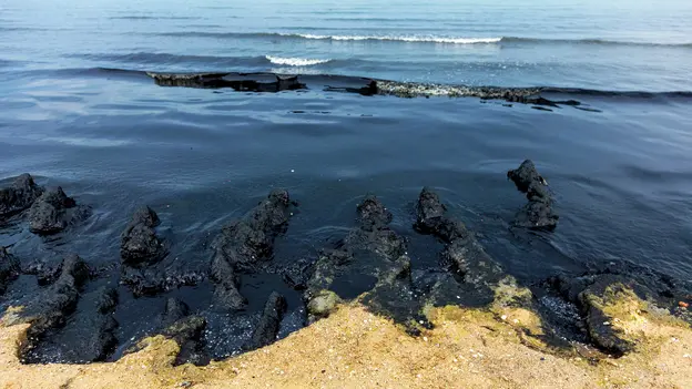 An ocean bay polluted by oil